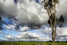 九游APP-丹麦绝杀莱比锡红牛，莫德里奇扛起全队