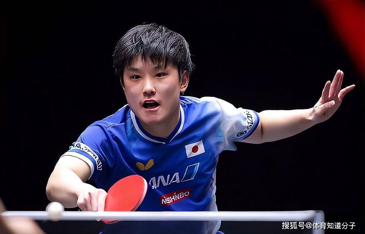 关于中国队完胜法国队，张本智和状态火热的信息